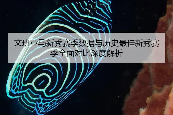 文班亚马新秀赛季数据与历史最佳新秀赛季全面对比深度解析
